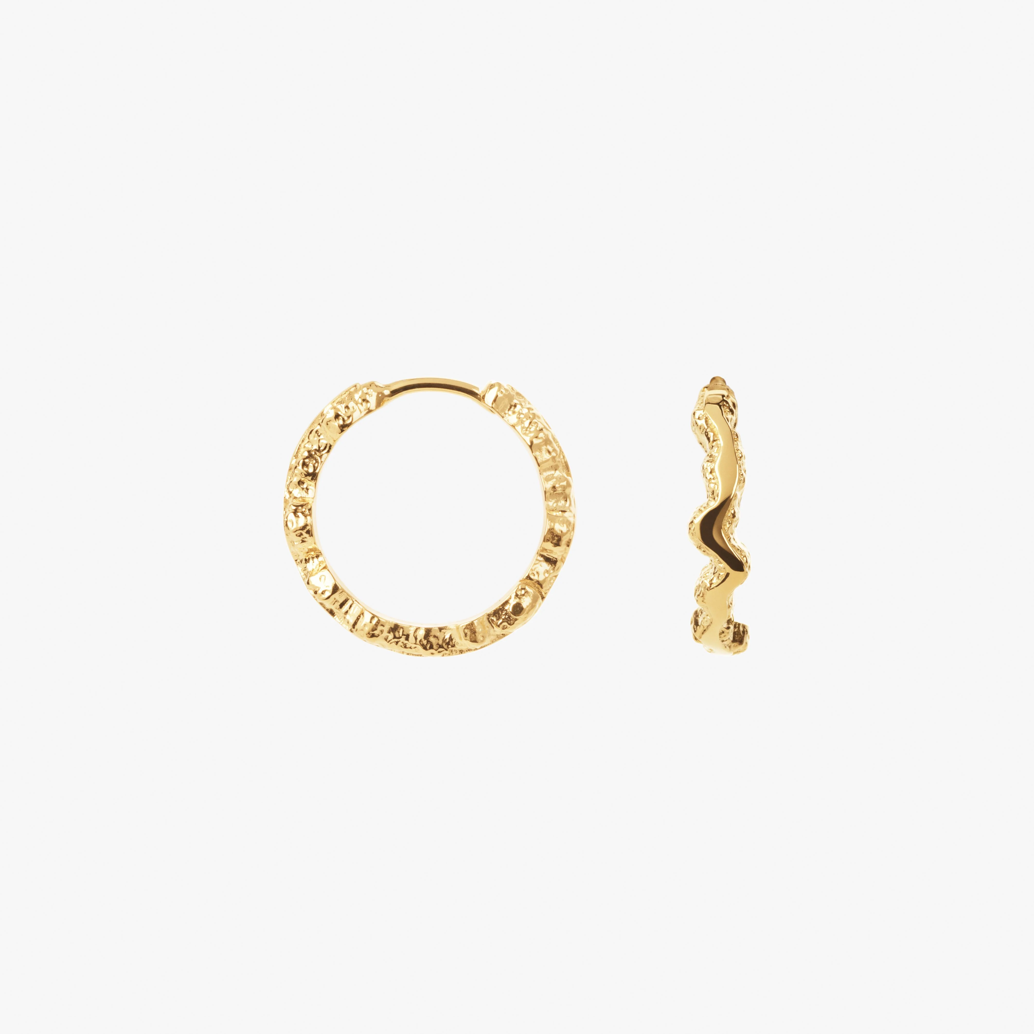 Small Shiny Sparkly Hoops