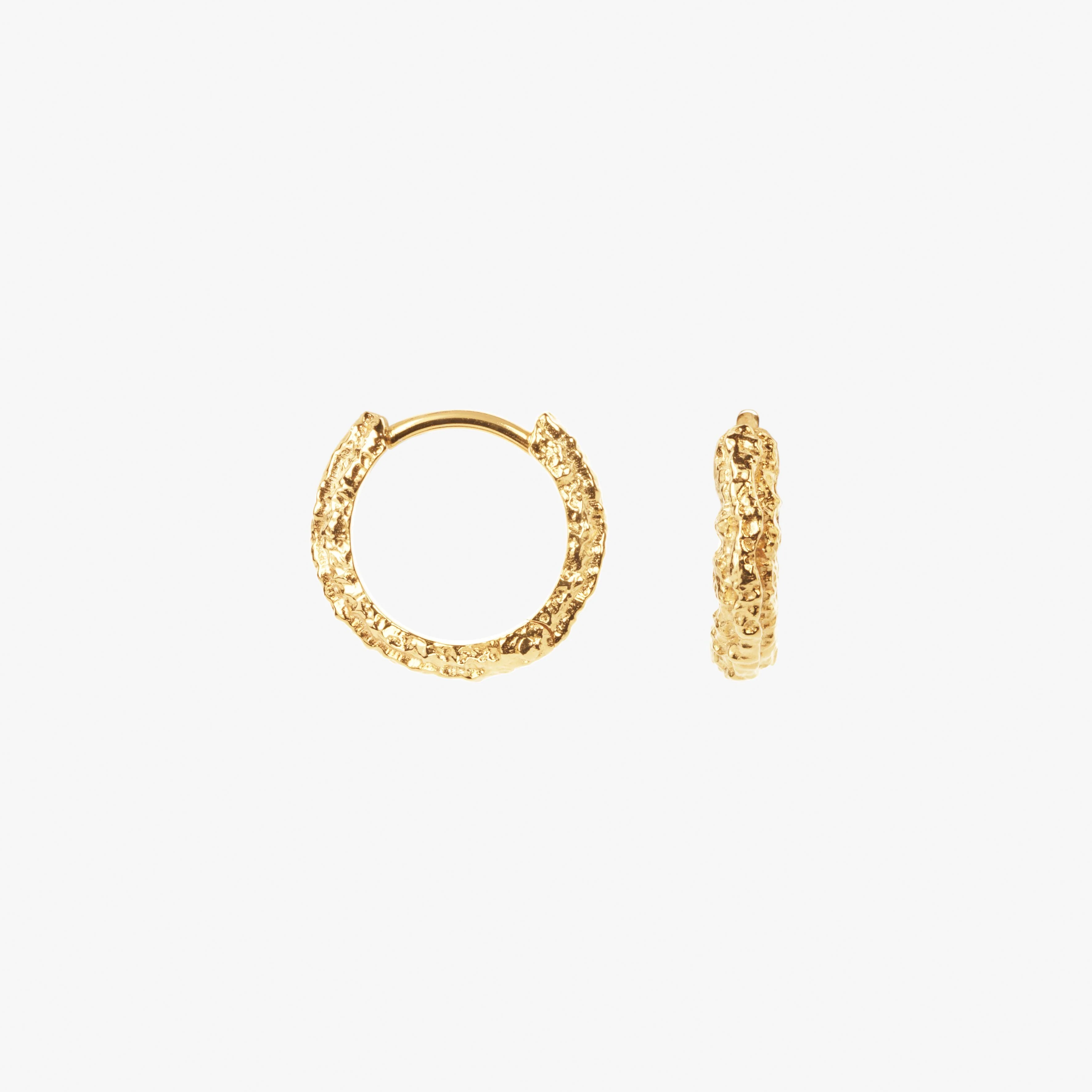 Small Sparkly Hoops